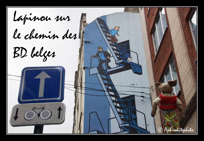 Lapinou sur le chemin des BD belges 2013